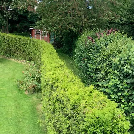 Wentorf Amt Sandesneben Wentorf (Lauenburg)